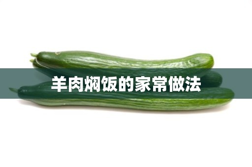 羊肉焖饭的家常做法