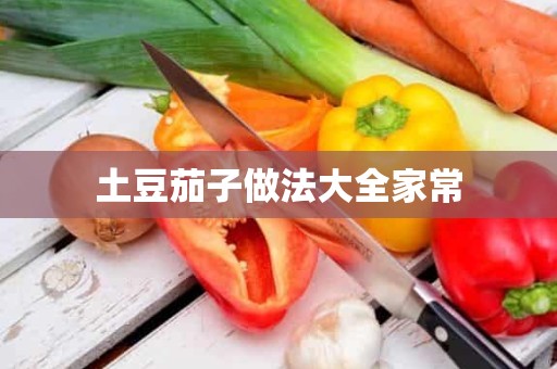 土豆茄子做法大全家常