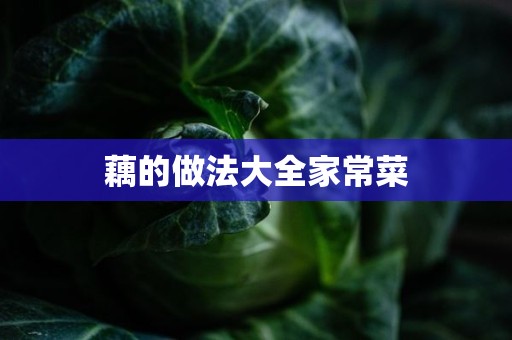 藕的做法大全家常菜