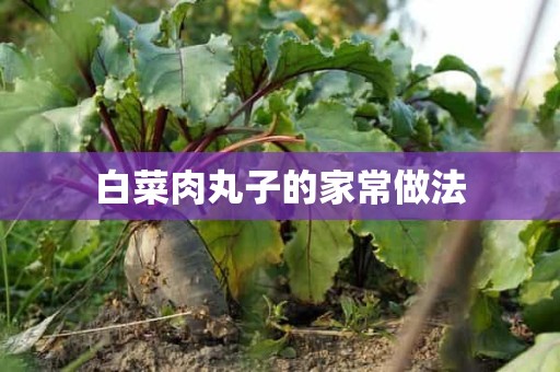 白菜肉丸子的家常做法