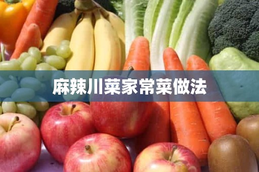 麻辣川菜家常菜做法