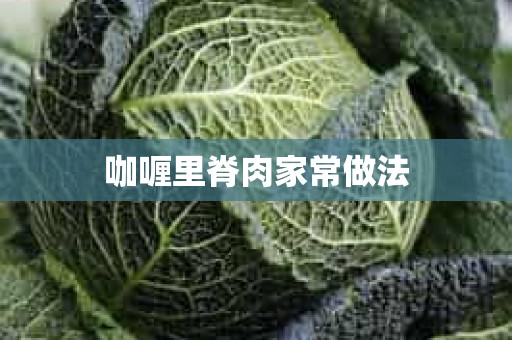 咖喱里脊肉家常做法