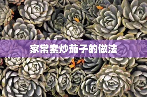 家常素炒茄子的做法