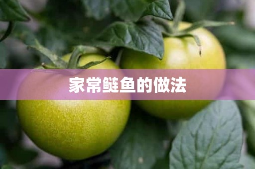 家常鲢鱼的做法