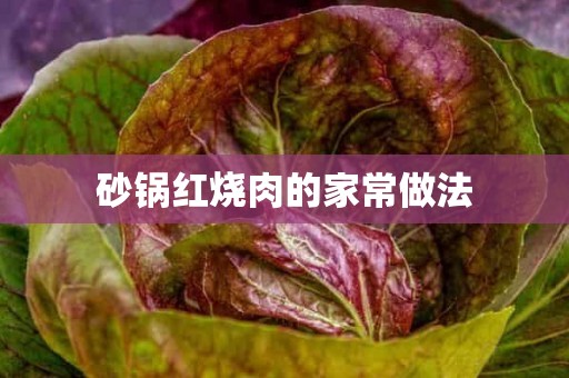 砂锅红烧肉的家常做法