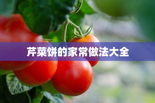 芹菜饼的家常做法大全