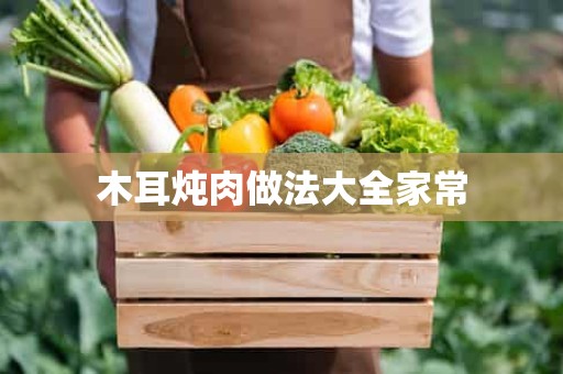 木耳炖肉做法大全家常