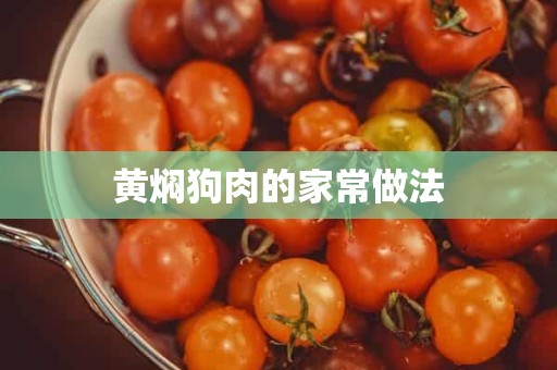 黄焖狗肉的家常做法