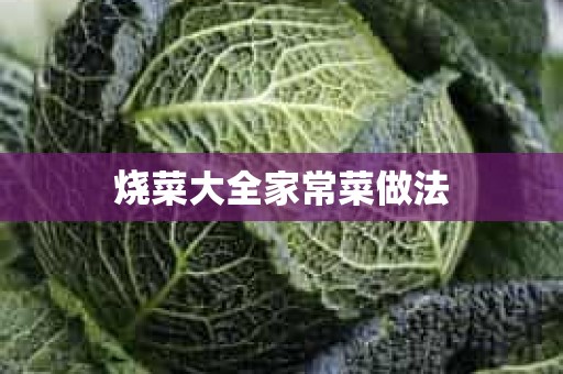 烧菜大全家常菜做法