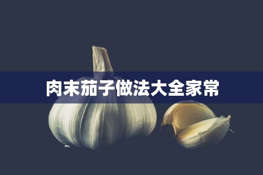 肉末茄子做法大全家常