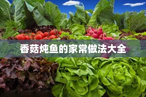 香菇炖鱼的家常做法大全