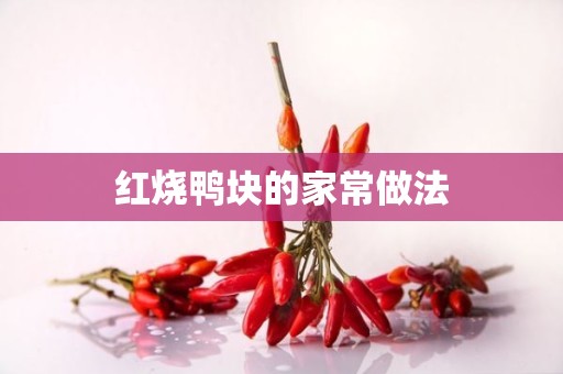 红烧鸭块的家常做法