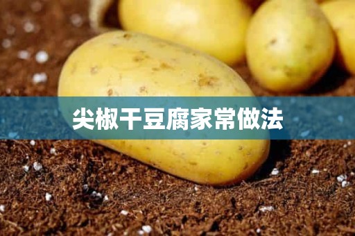 尖椒干豆腐家常做法