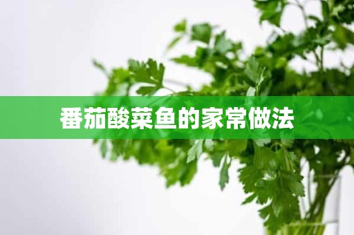 番茄酸菜鱼的家常做法