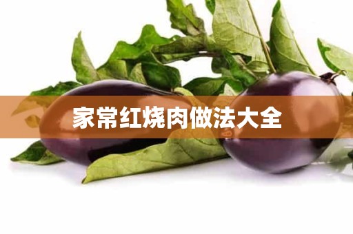 家常红烧肉做法大全