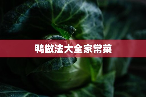 鸭做法大全家常菜