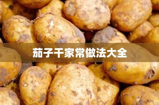 茄子干家常做法大全