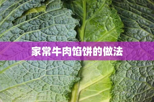 家常牛肉馅饼的做法