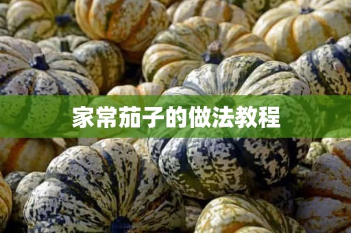 家常茄子的做法教程