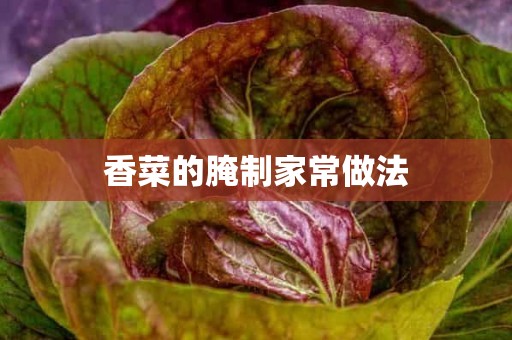 香菜的腌制家常做法