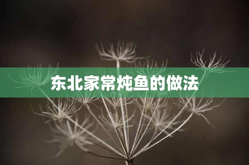 东北家常炖鱼的做法