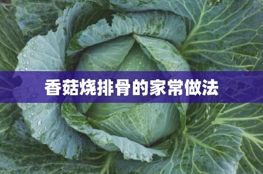 香菇烧排骨的家常做法