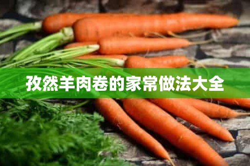 孜然羊肉卷的家常做法大全