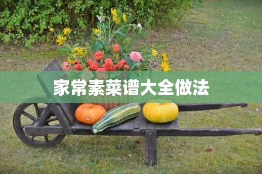 家常素菜谱大全做法