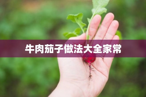 牛肉茄子做法大全家常