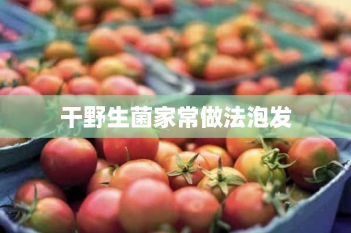 干野生菌家常做法泡发