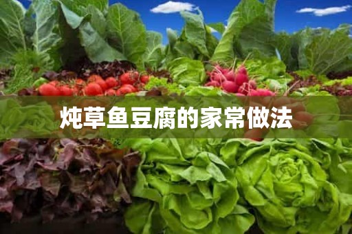 炖草鱼豆腐的家常做法