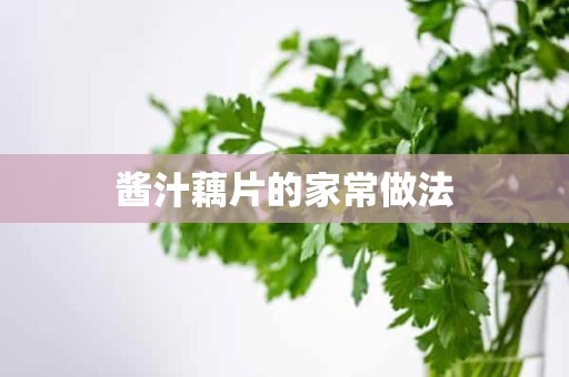 酱汁藕片的家常做法