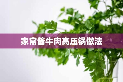 家常酱牛肉高压锅做法