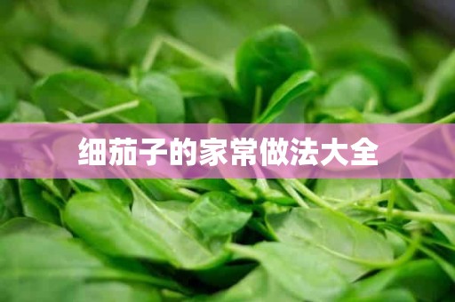 细茄子的家常做法大全