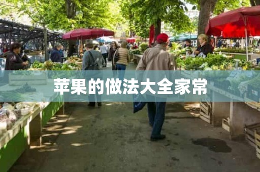 苹果的做法大全家常