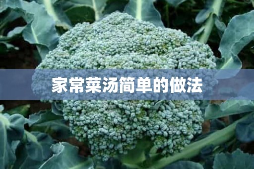 家常菜汤简单的做法