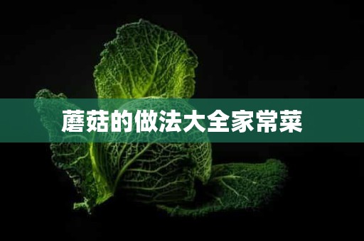 蘑菇的做法大全家常菜