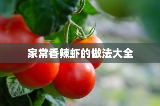 家常香辣虾的做法大全