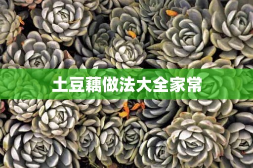 土豆藕做法大全家常