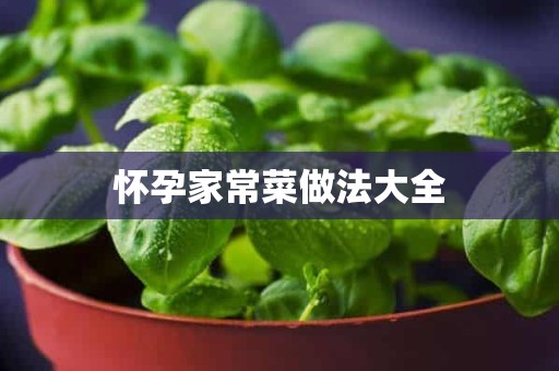 怀孕家常菜做法大全