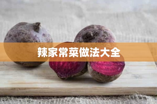 辣家常菜做法大全