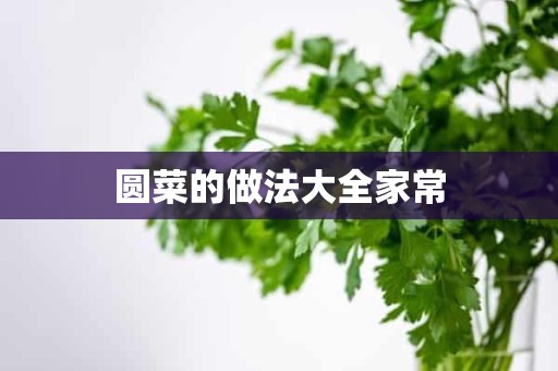 圆菜的做法大全家常