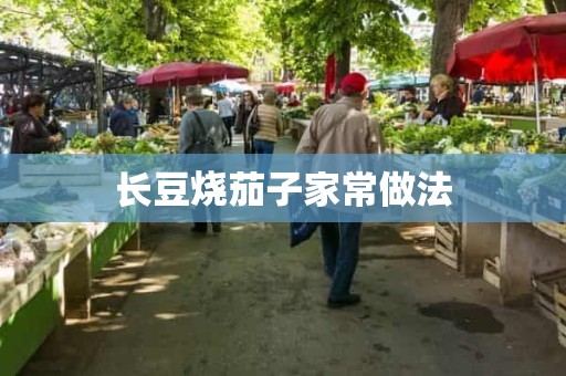 长豆烧茄子家常做法