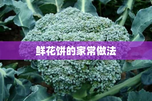 鲜花饼的家常做法