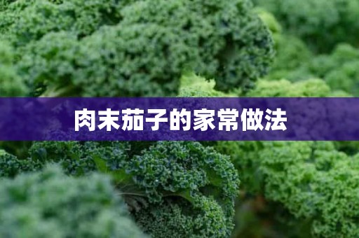 肉末茄子的家常做法