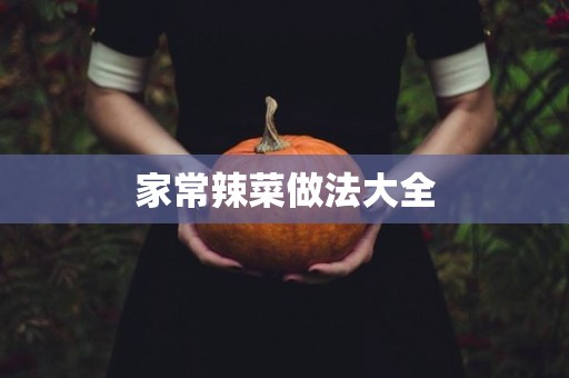 家常辣菜做法大全