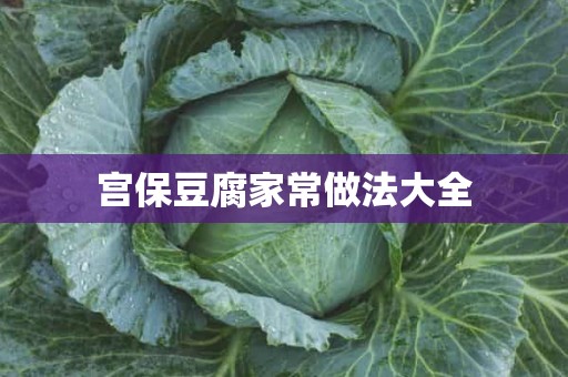 宫保豆腐家常做法大全