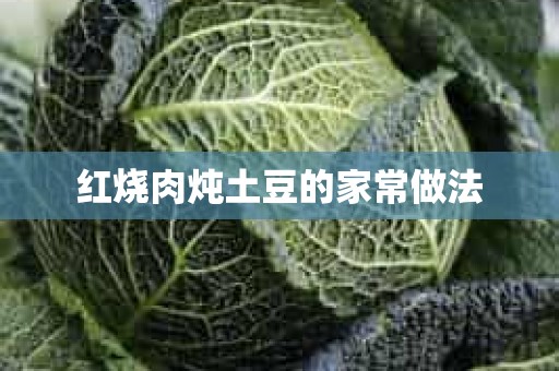 红烧肉炖土豆的家常做法