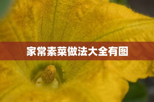 家常素菜做法大全有图