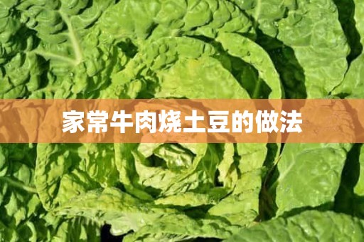 家常牛肉烧土豆的做法